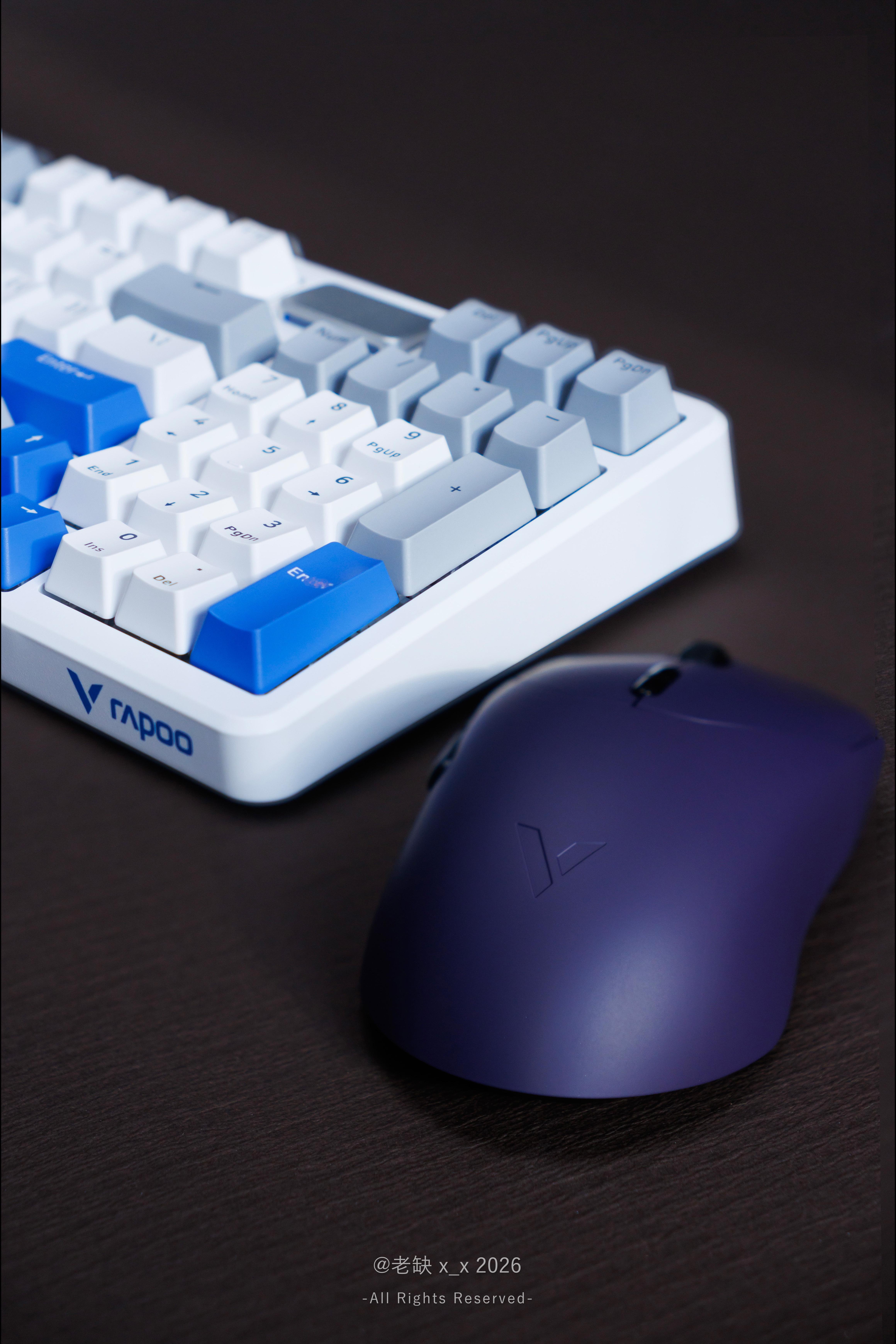 雷柏 VT9 MAX，适合中大手，左右对称设计。靠后握持就用趴握的姿势，激烈操作