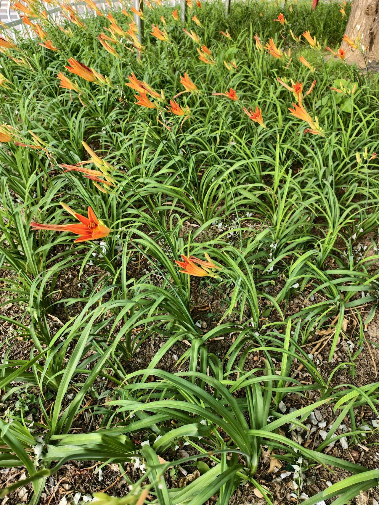 下联：一大成天。
对联组字的游戏非常好玩儿，既开发了脑子，又增长了知识，还在头条