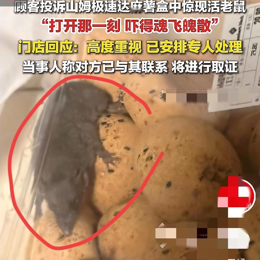 我嘞个天啊
这可是山姆啊
麻薯盒里居然窜出活老鼠，真是活久见，食品安全管理哪里去