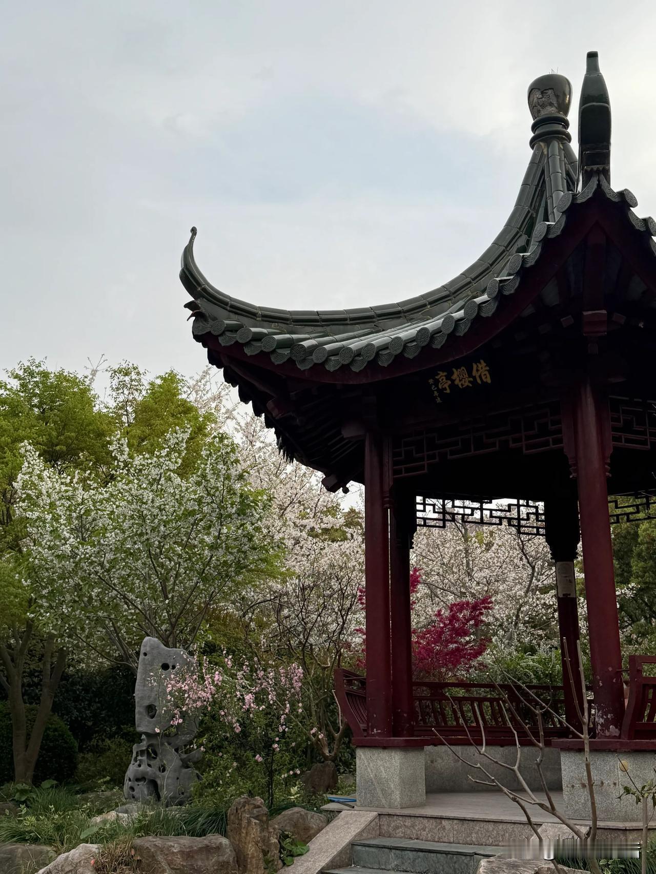 樱花盛开的时候，长风公园的樱花苑都会染上温柔的粉白色，风吹过还有花瓣轻轻飘落，像