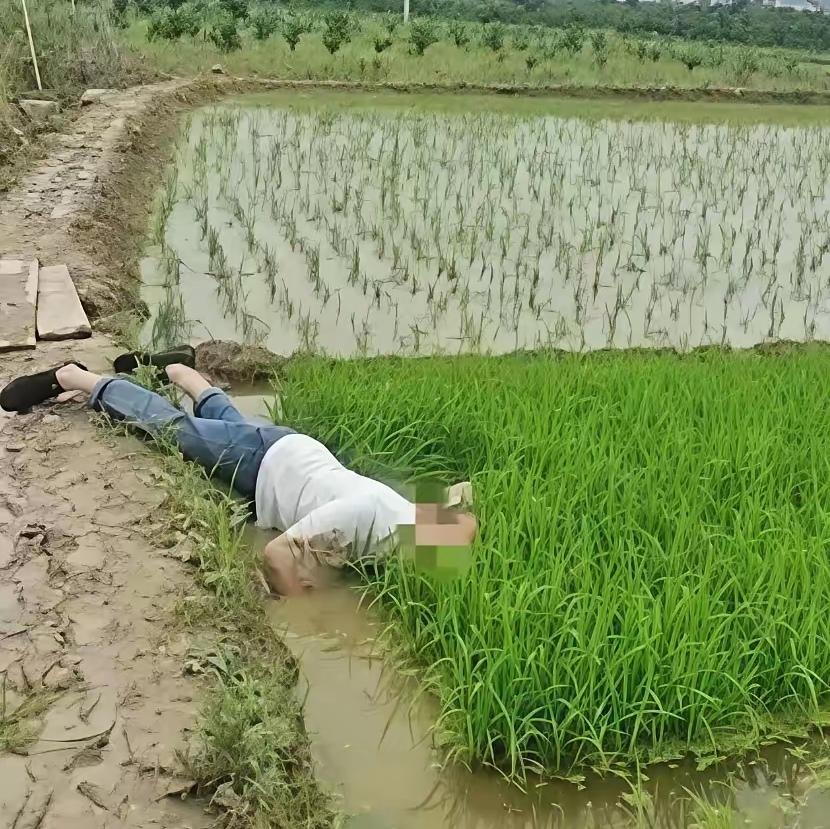 四川成都发生了一件揪心事。七旬大爷早起晨练，路过稻田洗个手，竟意外滑倒溺亡。家属