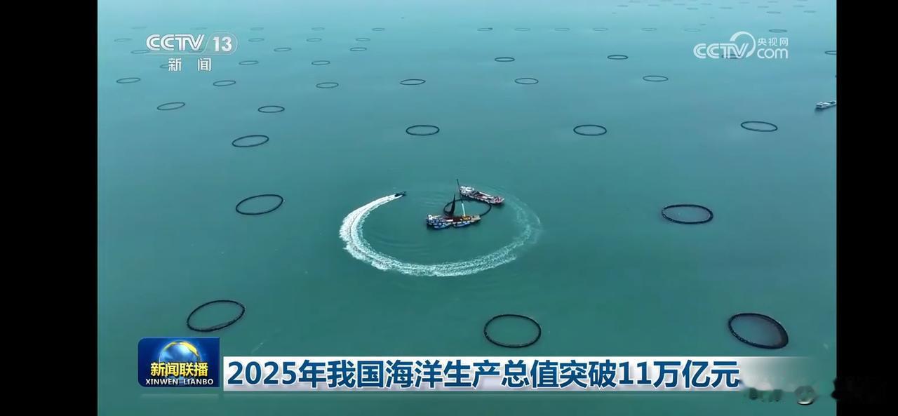 2025年海洋生产总值突破11万亿元，海洋经济蓬勃发展！