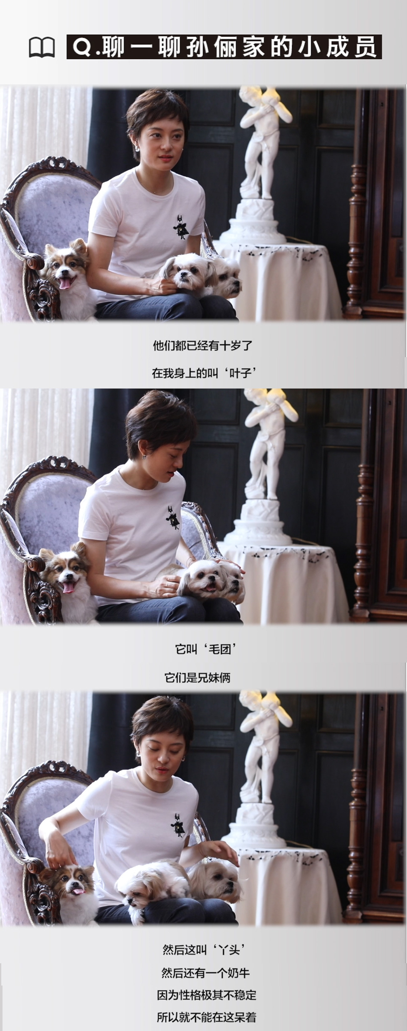 孙俪：很多流浪动物你救助它之后，它真的会有很多感恩的心，它会认你是它唯一的主人，