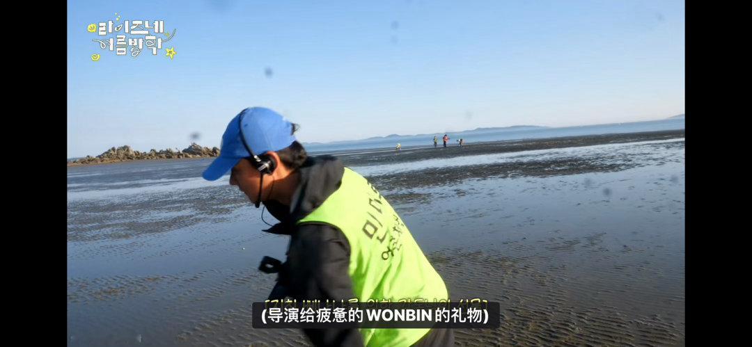 我去这只傻猪在干嘛啊