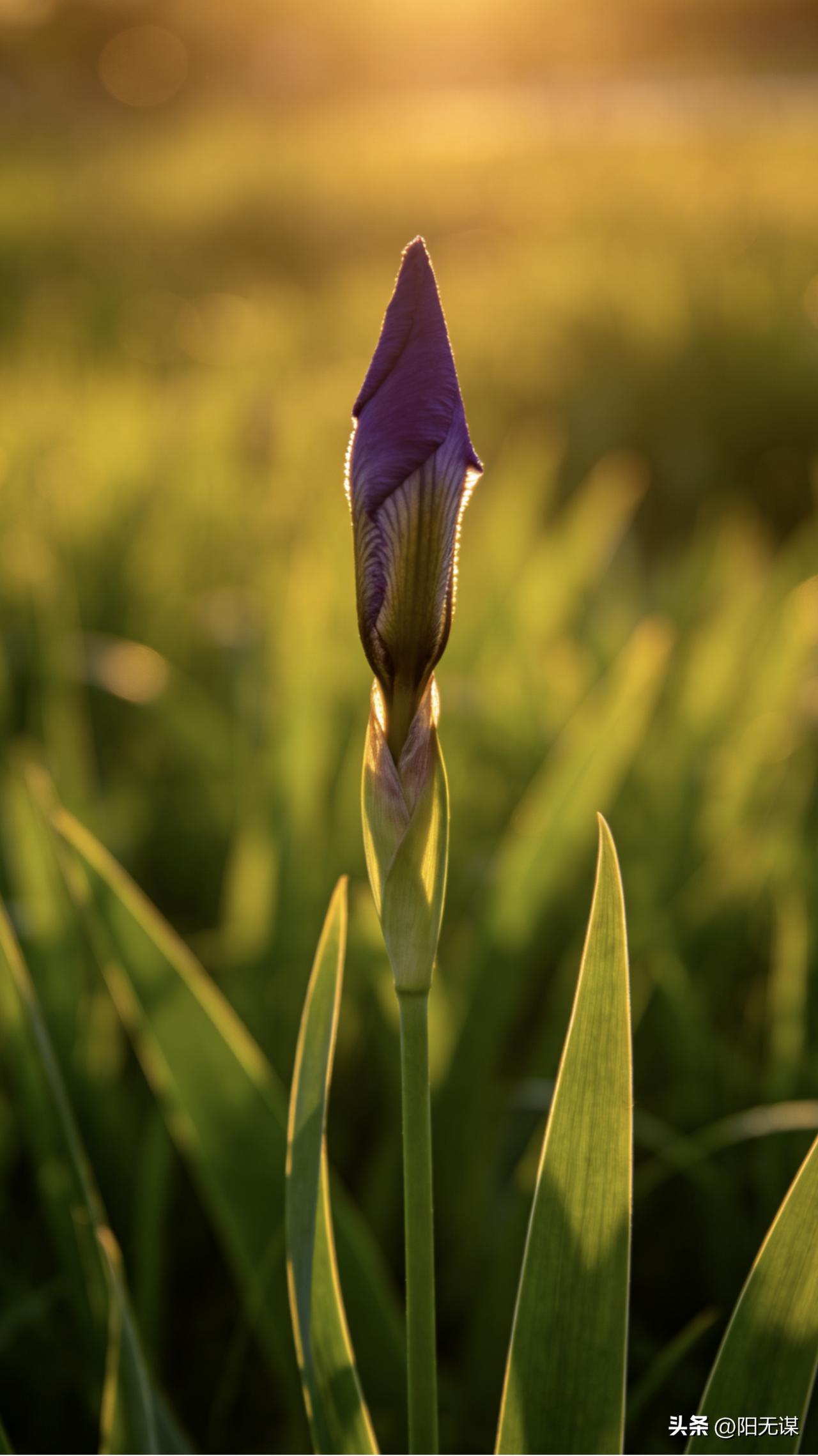 人性通透的一句话：
“人到四十，要是还未实现财富自由，就不要执念太深了。这个时候