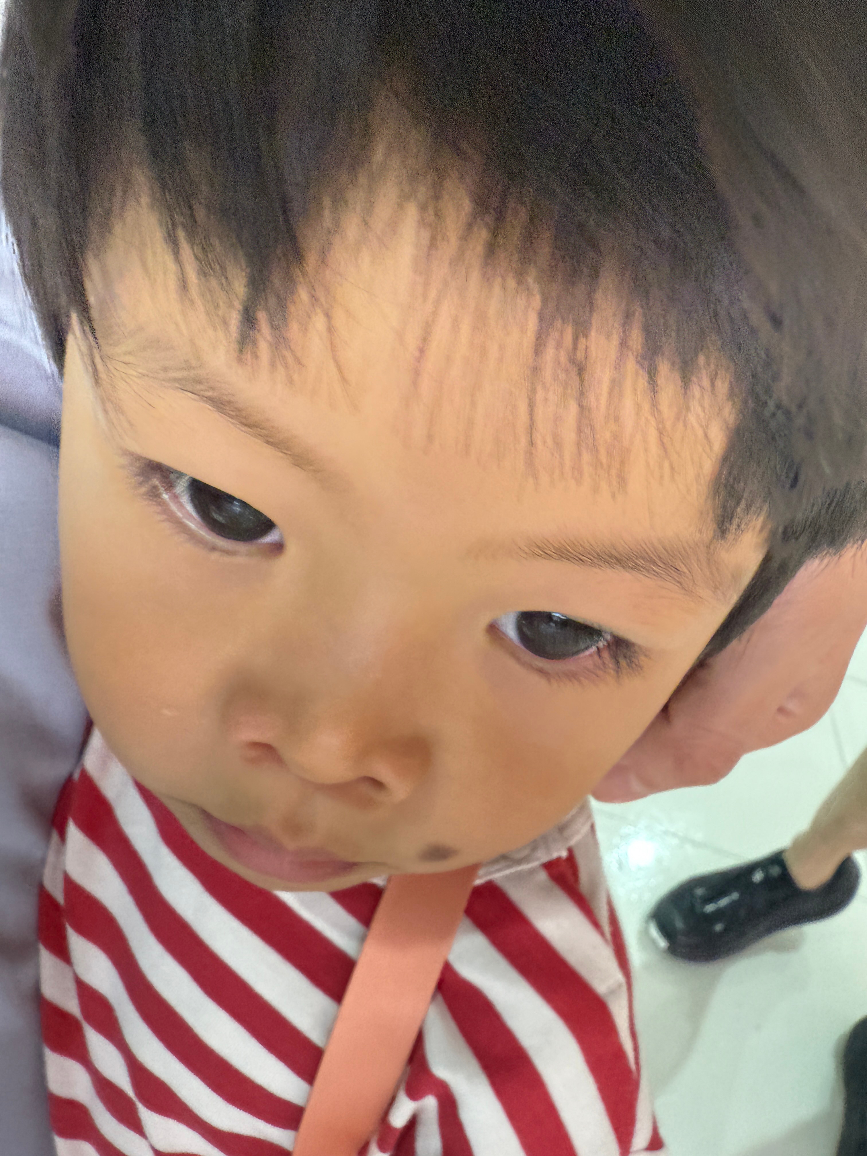 我：球宝球宝，你可爱一下，可爱是什么样的球：这样