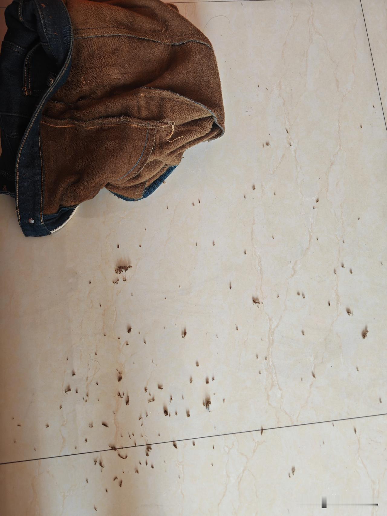 过年的新裤子，
穿了一下，
发现到处掉毛，
这种情况我该怎么处理啊？