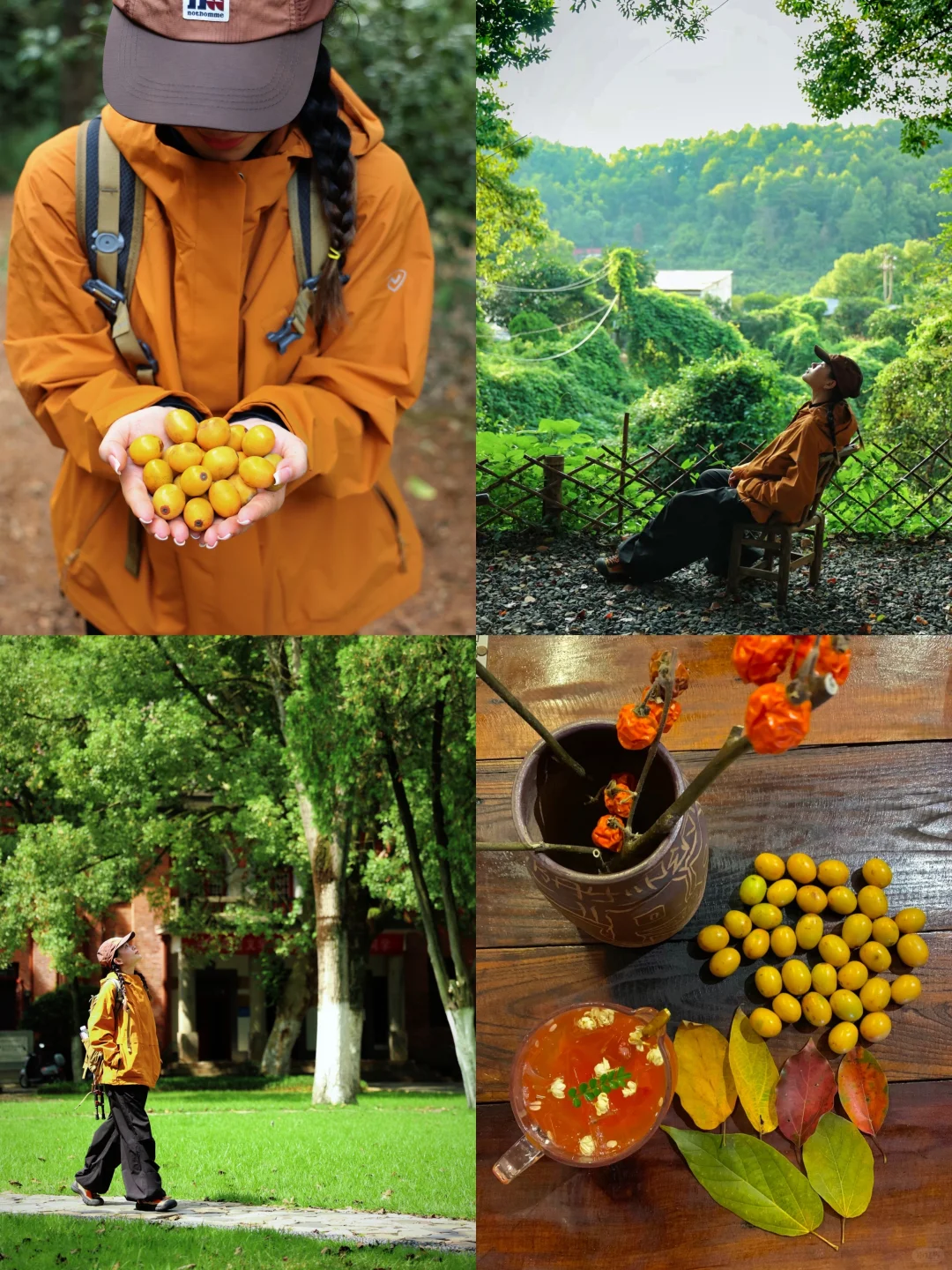 i人的充电方式🍂去户外捡个秋