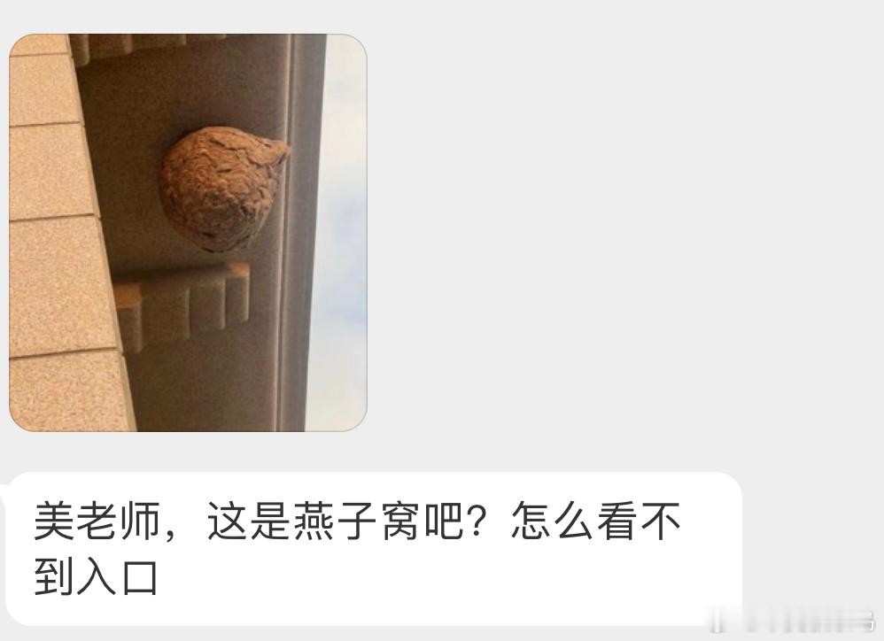 ？？？因为这是马蜂窝🐝 ​​​