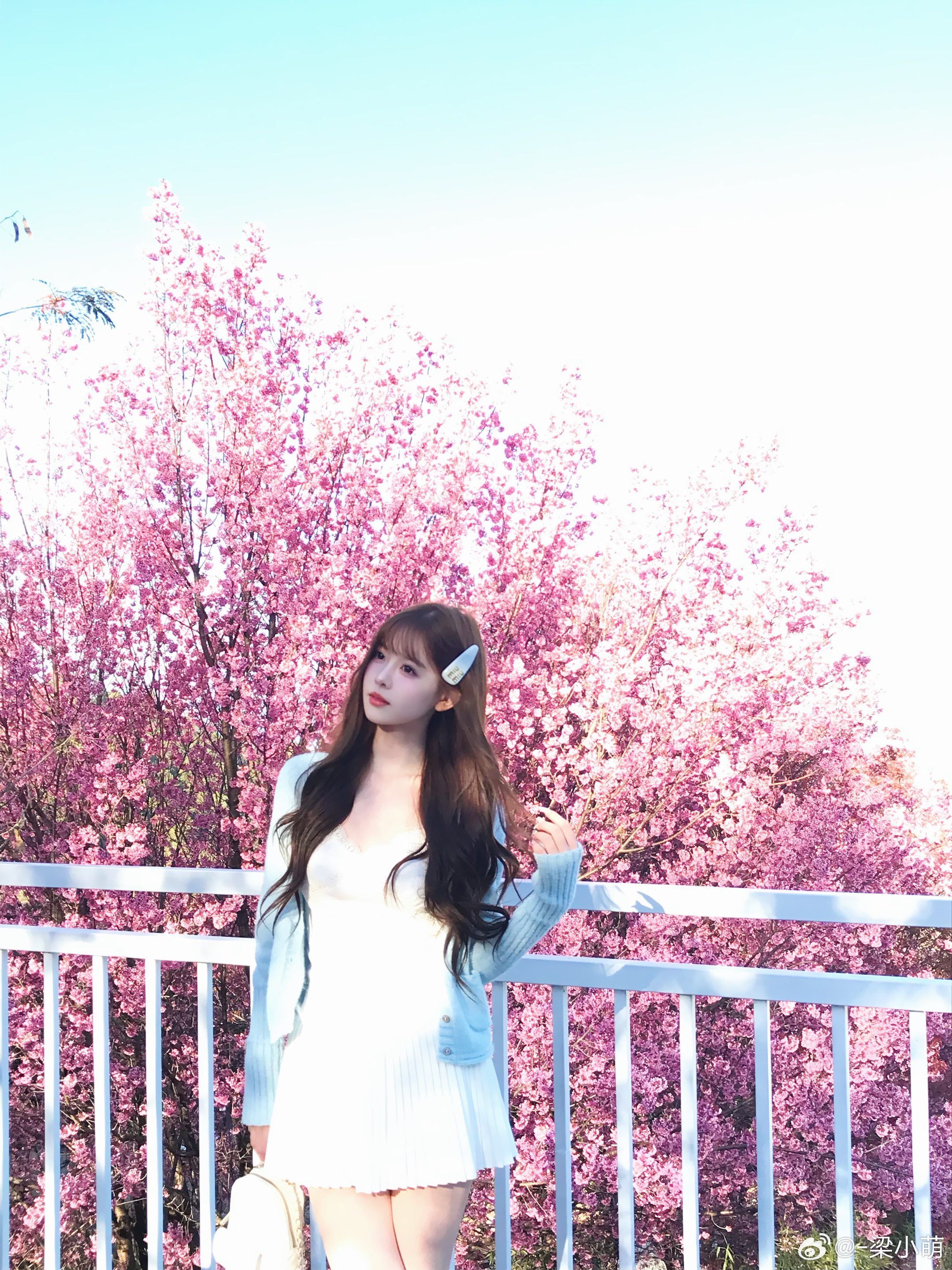 🌸樱花树下站谁都美在大理拍的冬樱花～大理人像摄影樱花ootd春季穿搭