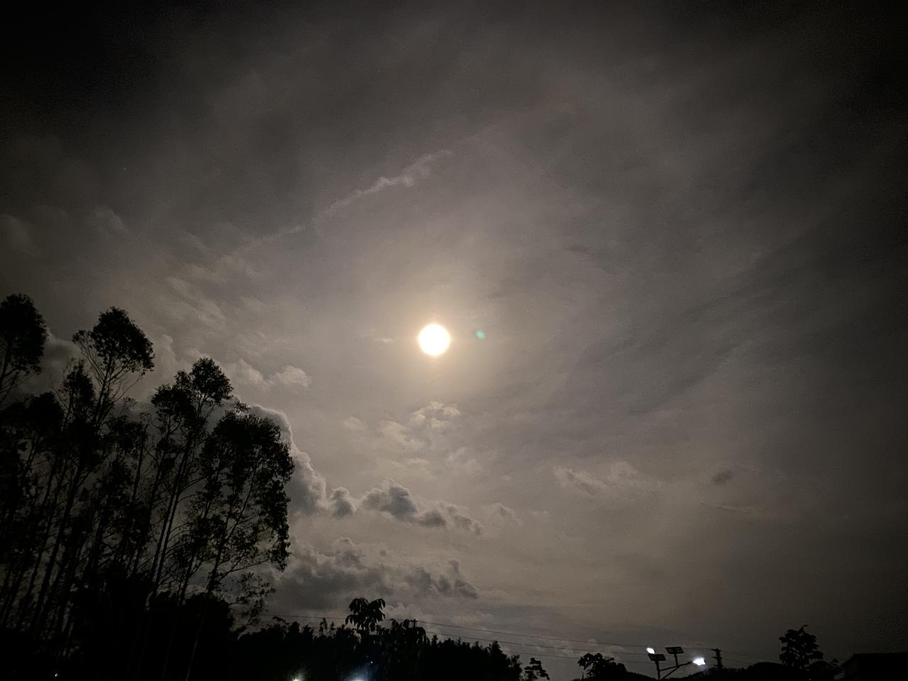 团团圆圆庆中秋，中秋过后便是年！祝大家中秋快乐！[玫瑰]