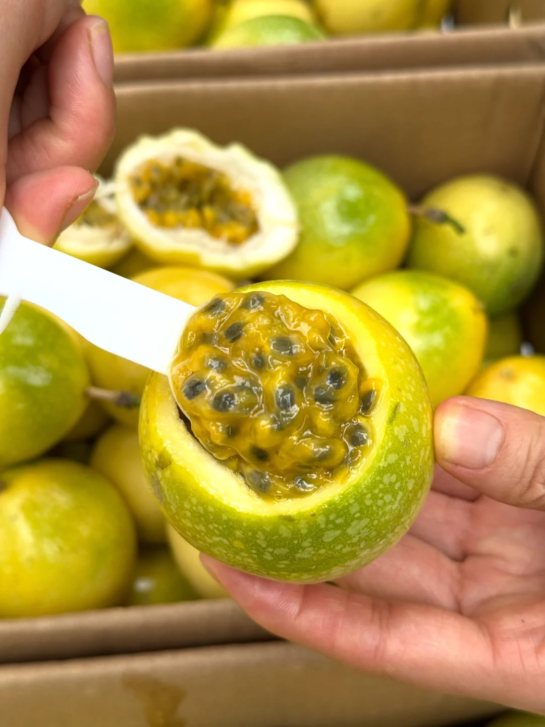 吃百香果的季节又到啦！一口下去满嘴蜜香！