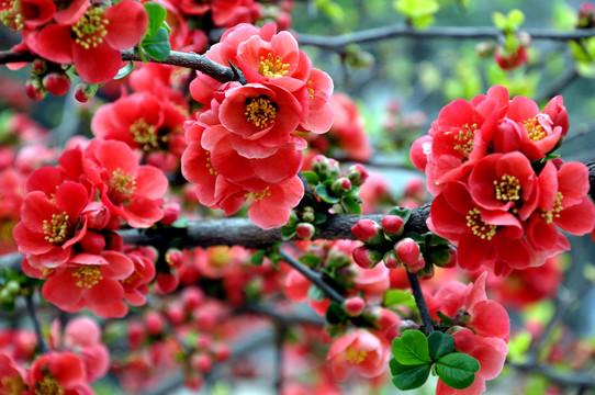 周二破位下行，周三能否抄底？
回顾周二的大A市场，盘前多数投资者在看到隔夜美股大