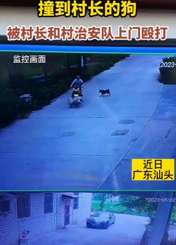 人不如狗？广东汕头一男子撞到村长的狗后：遭村长带人殴打，被要求跪下
当年潘子演过