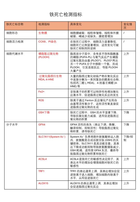 如何证明一个分子影响铁死亡❓