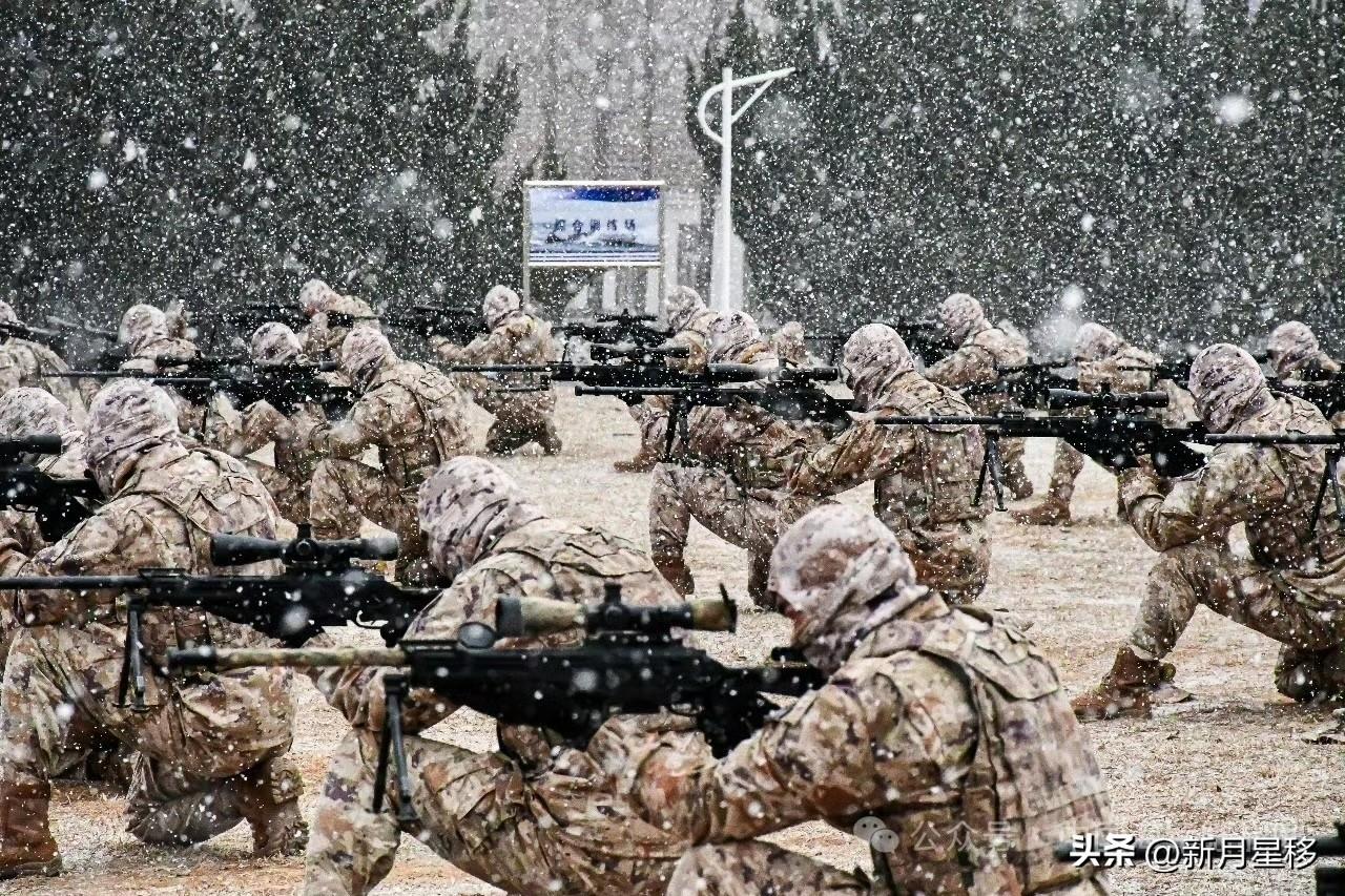 大雪据枪热，鹅毛般的大雪中，凛凛的长枪宛如一副画卷。