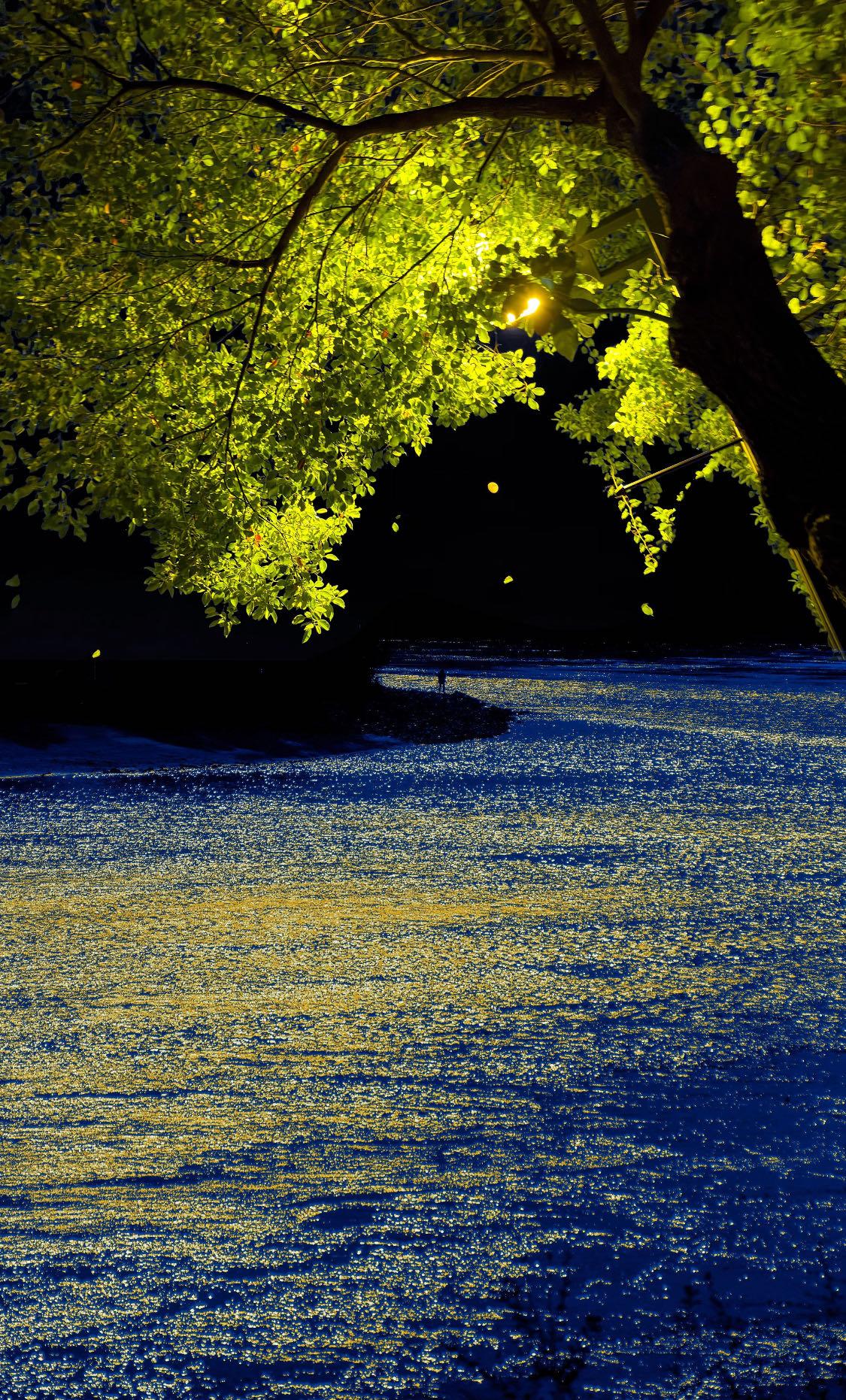 人一定要大量读书！

我发现长期读书的人都有一个共性：

眼神里有光，谈吐间带着