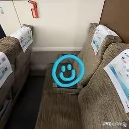 想要靠窗结果成了面壁，网友无奈“不是我的错”。近日，网友乘坐高铁购买了标注有靠窗