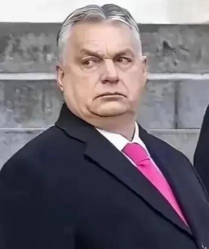 欧尔班大祸临头了，欧盟忍无可忍，终于对欧尔班动手，暂停其在欧盟的一票否决权。
在