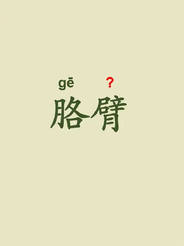 今天来学习——胳臂