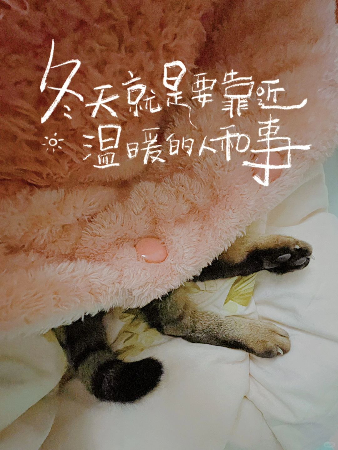 一夜入冬
