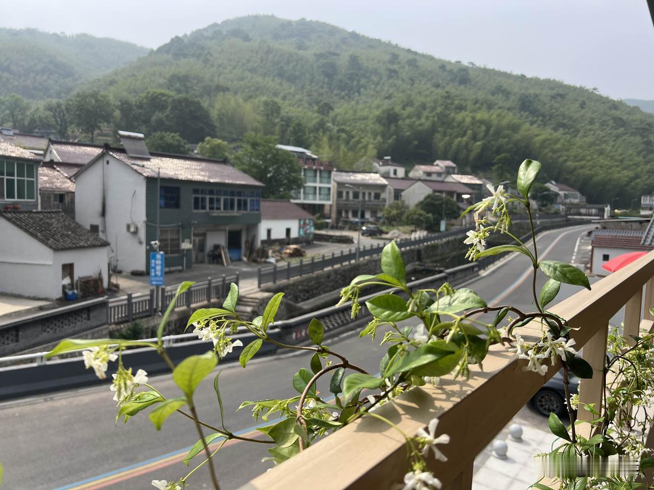 从电影《阿嬷的情书》到电视剧《主角》，都避开宏大叙事，只写人间烟火，描摹寻常人的