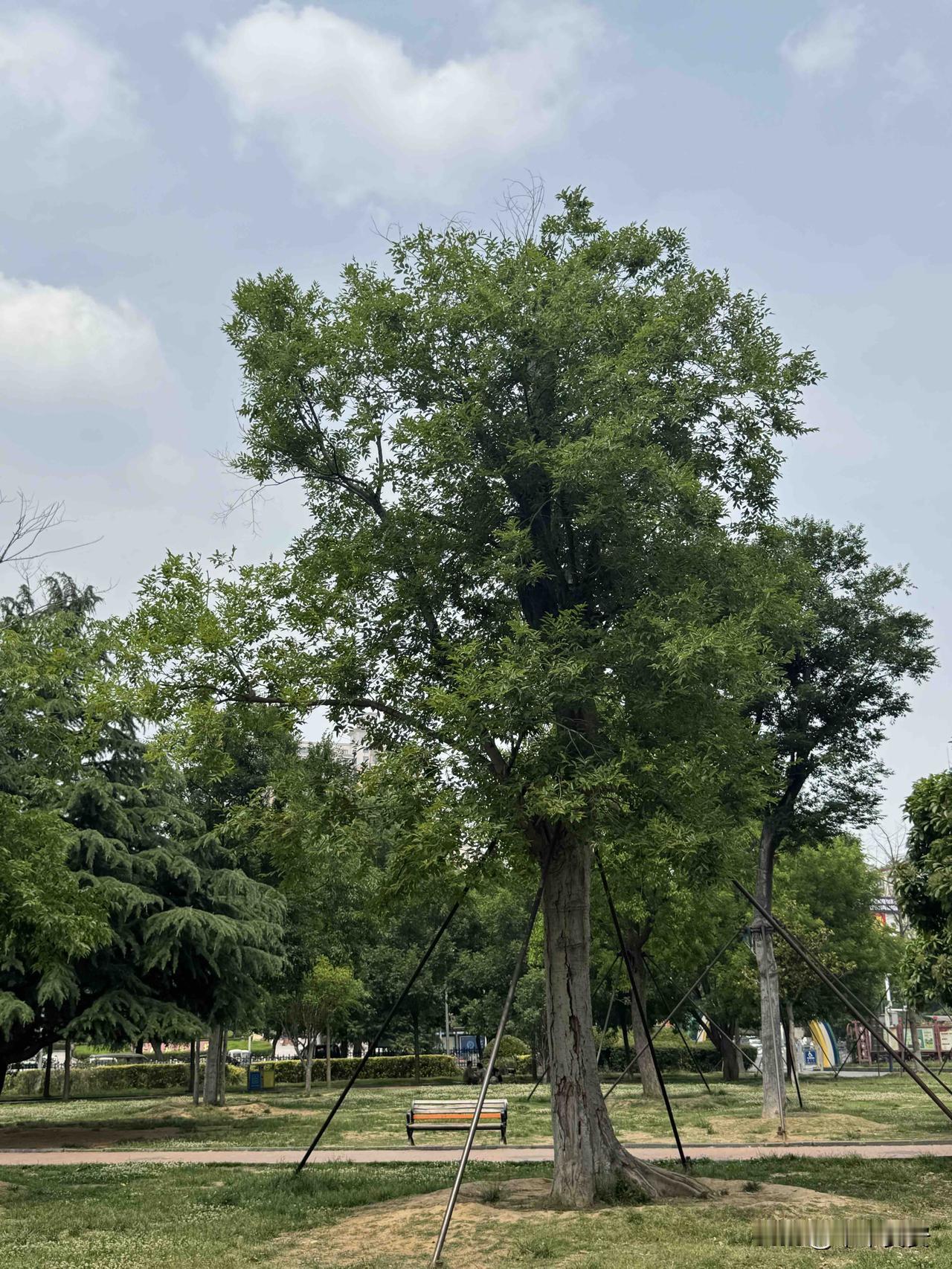 我这辈子最勇敢的事，不是做过什么惊天动地的大事，而是在所有人都不看好我时，依然坚