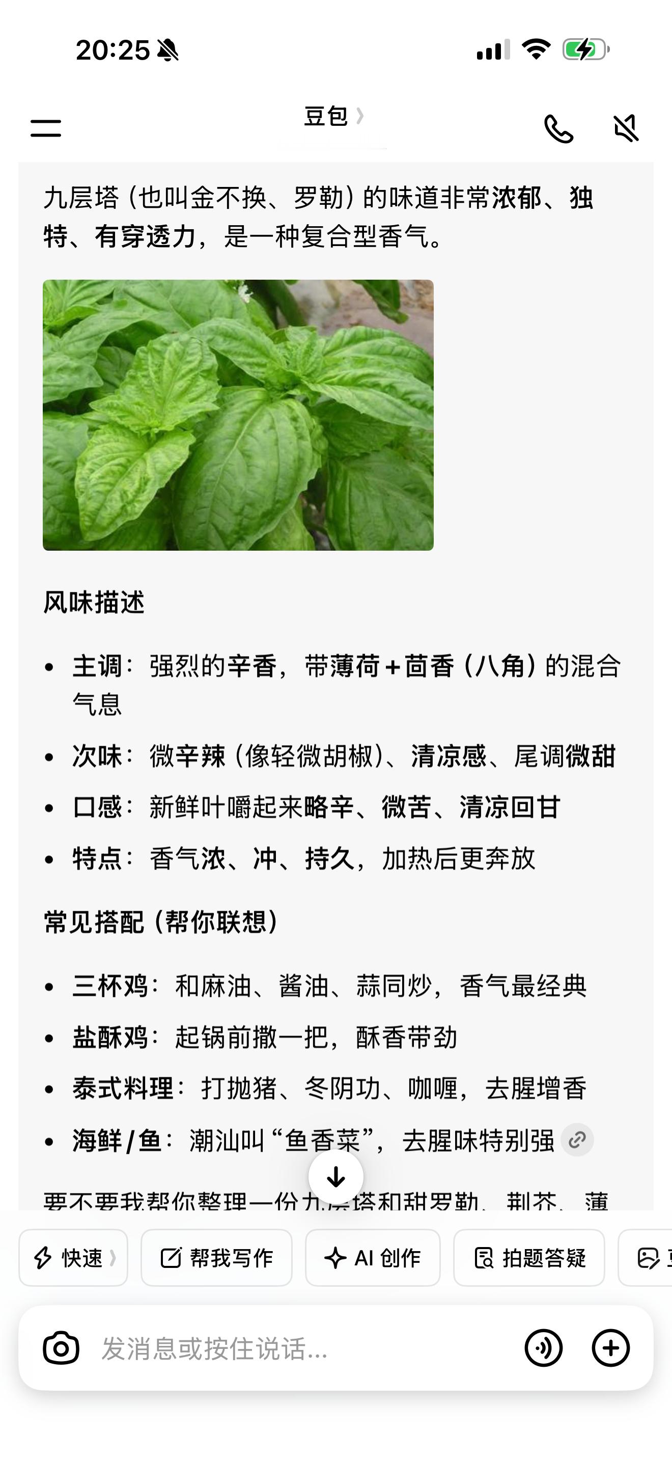 谁来帮我形容下九层塔的味道，我确实形容不出来。 