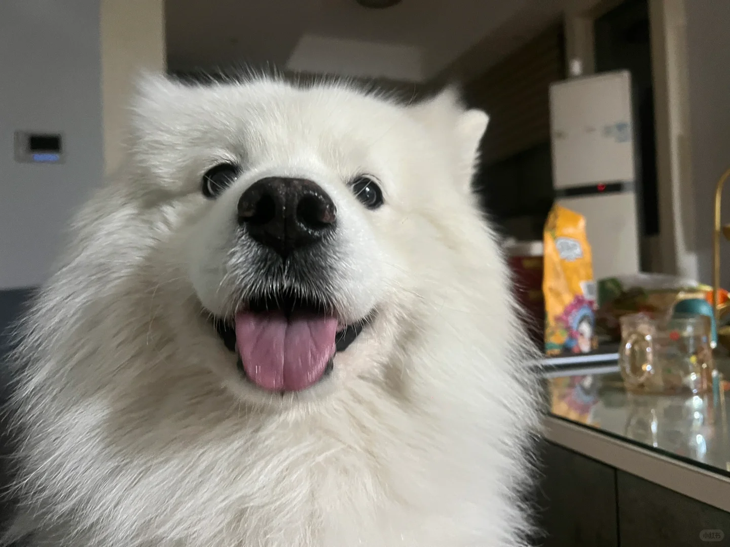 每天笑哈哈