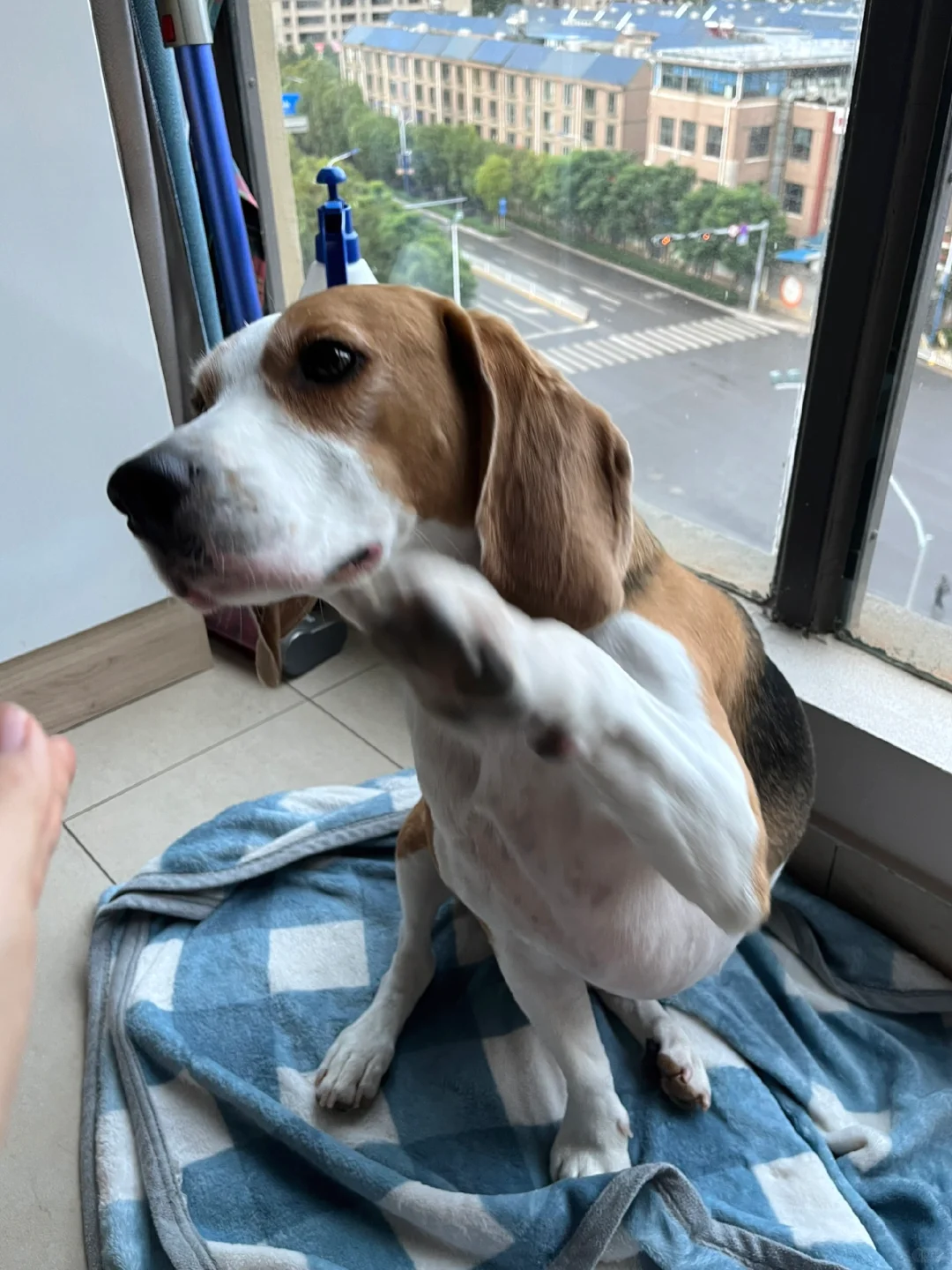 give me five！