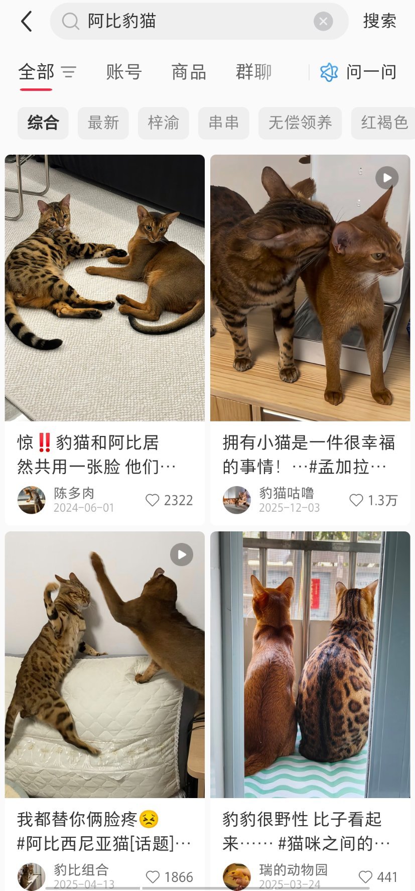 郑朋的红薯界面大概是这样的