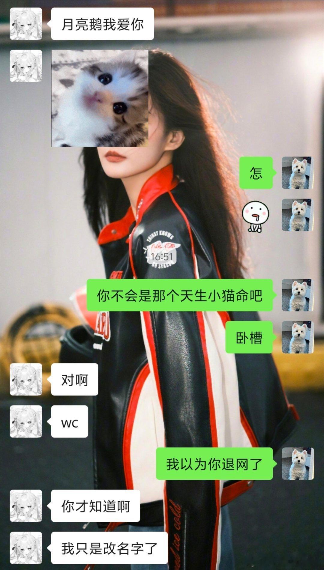 我不行了我一直以为tmg退网了直到刚刚才知道这是tmg网页链接
