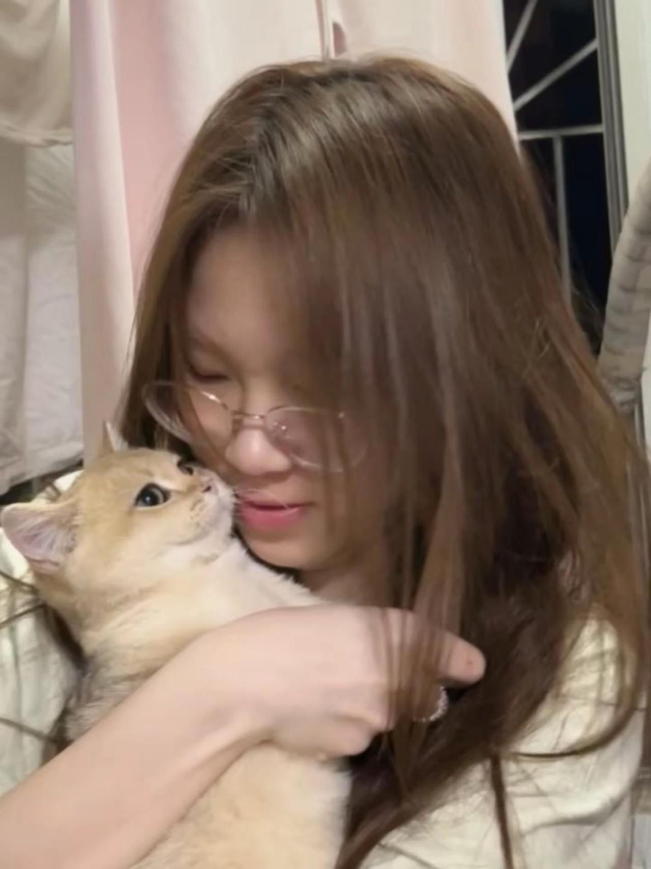 人类需要小猫