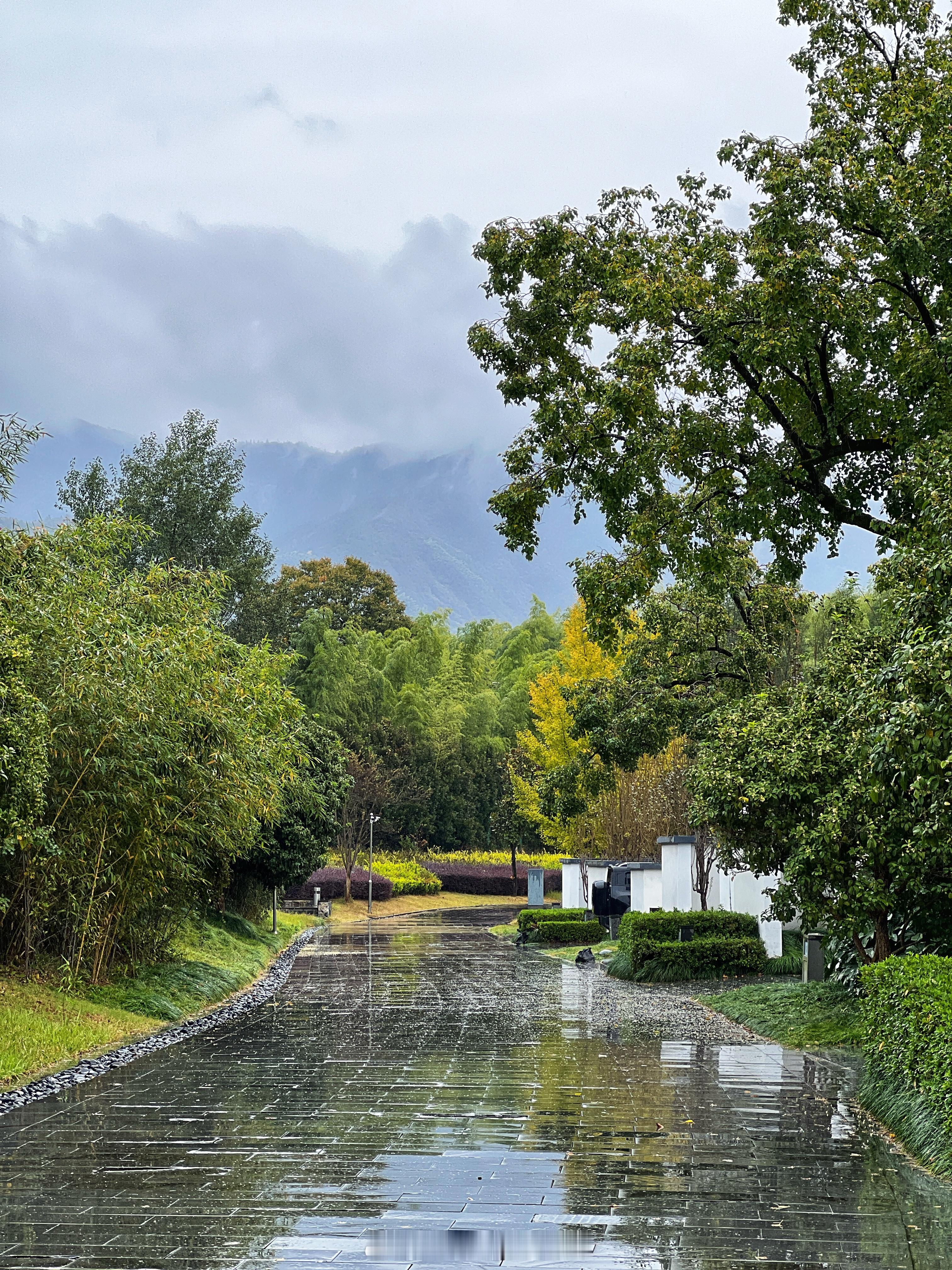 皖南秋色是白墙黛瓦与金秋落叶的诗意📷上汽旗舰智己LS9颠覆30万大六座格局 ​