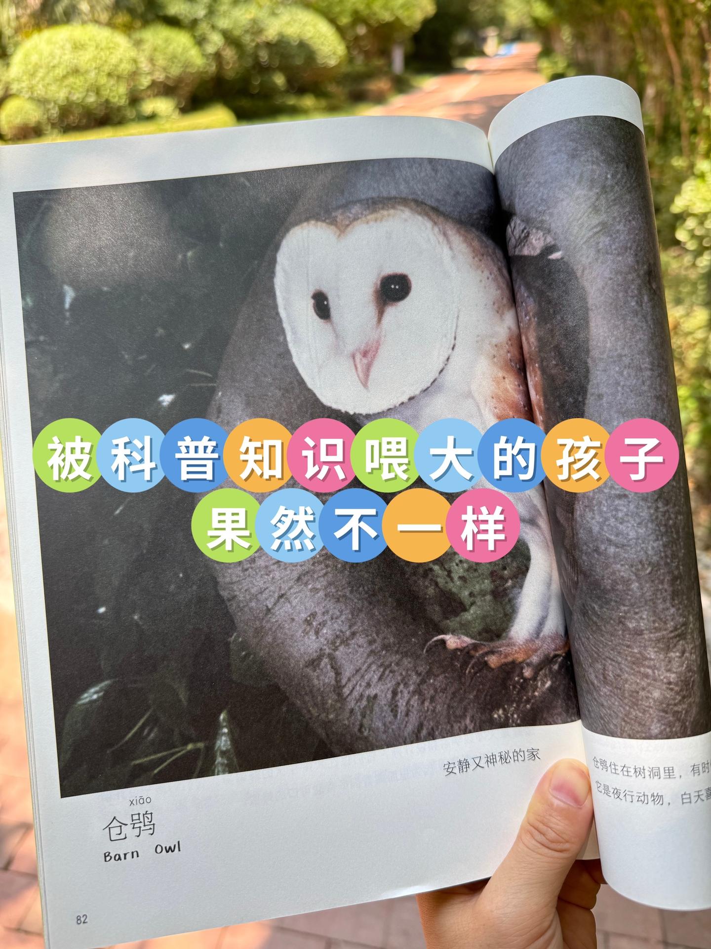 哇！2岁宝宝就能看懂的自然百科全书🔥。高清实拍大图，视觉冲击力堪比纪...
