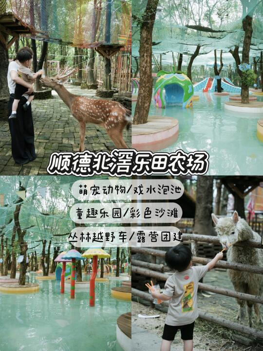 顺德农场｜树荫下喂动物玩水更尽兴！