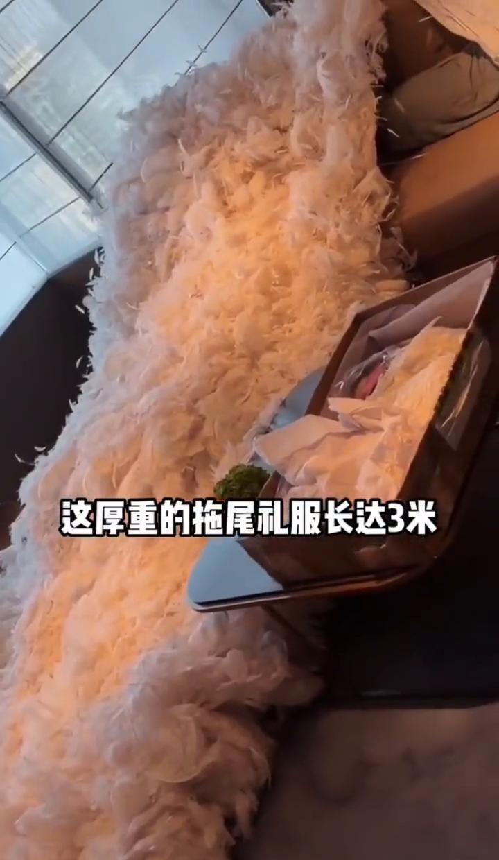 50斤黄金礼服焊在身上！
张雨绮走红毯走成了负重越野
你敢信张馨予那3米拖尾裙重