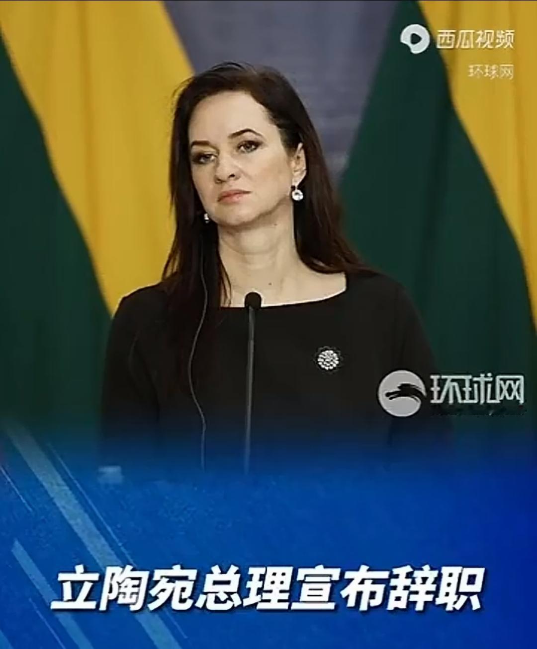 立陶宛总理辞职，暂停与台湾往来！
    23日，立陶宛总理鲁吉尼埃内宣布辞职。