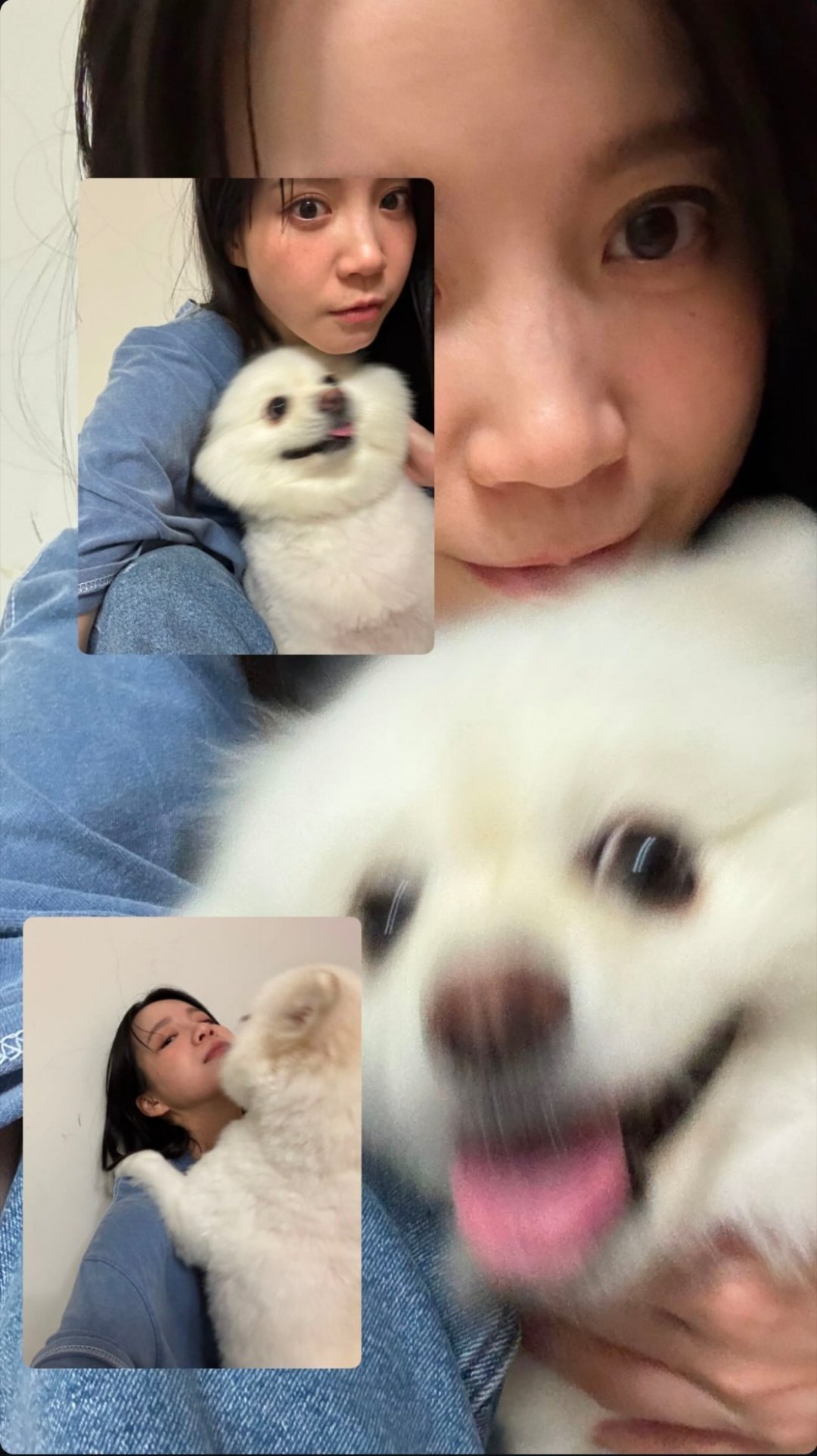 這裡有兩位萌物 