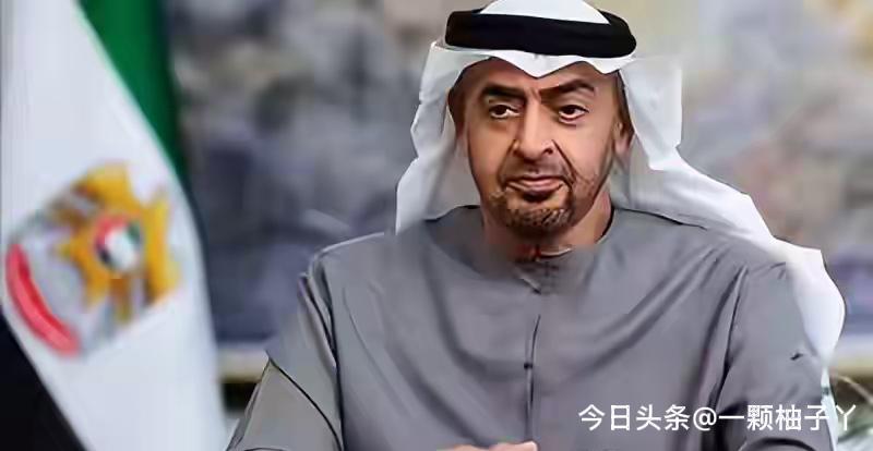 阿联酋总统在探望袭击事件伤者后公开发声，态度直接又坚定。他明确表示，阿联酋不容侵