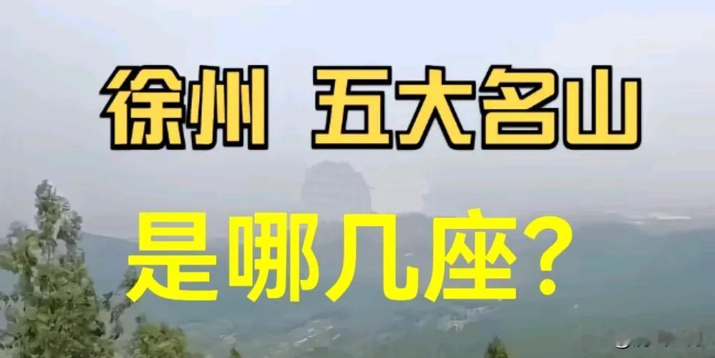 你既然是徐州人，总不该连徐州五大名山都不知道吧。

按海拔和知名度结合，你说说是