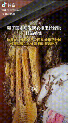意外收获！安徽蚌埠，男子发现家里衣柜里长了一个蜂巢，蜂巢上面还挂满了蜜蜂，原来是