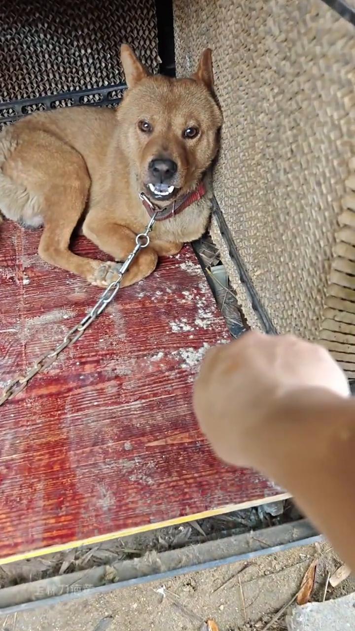有人。