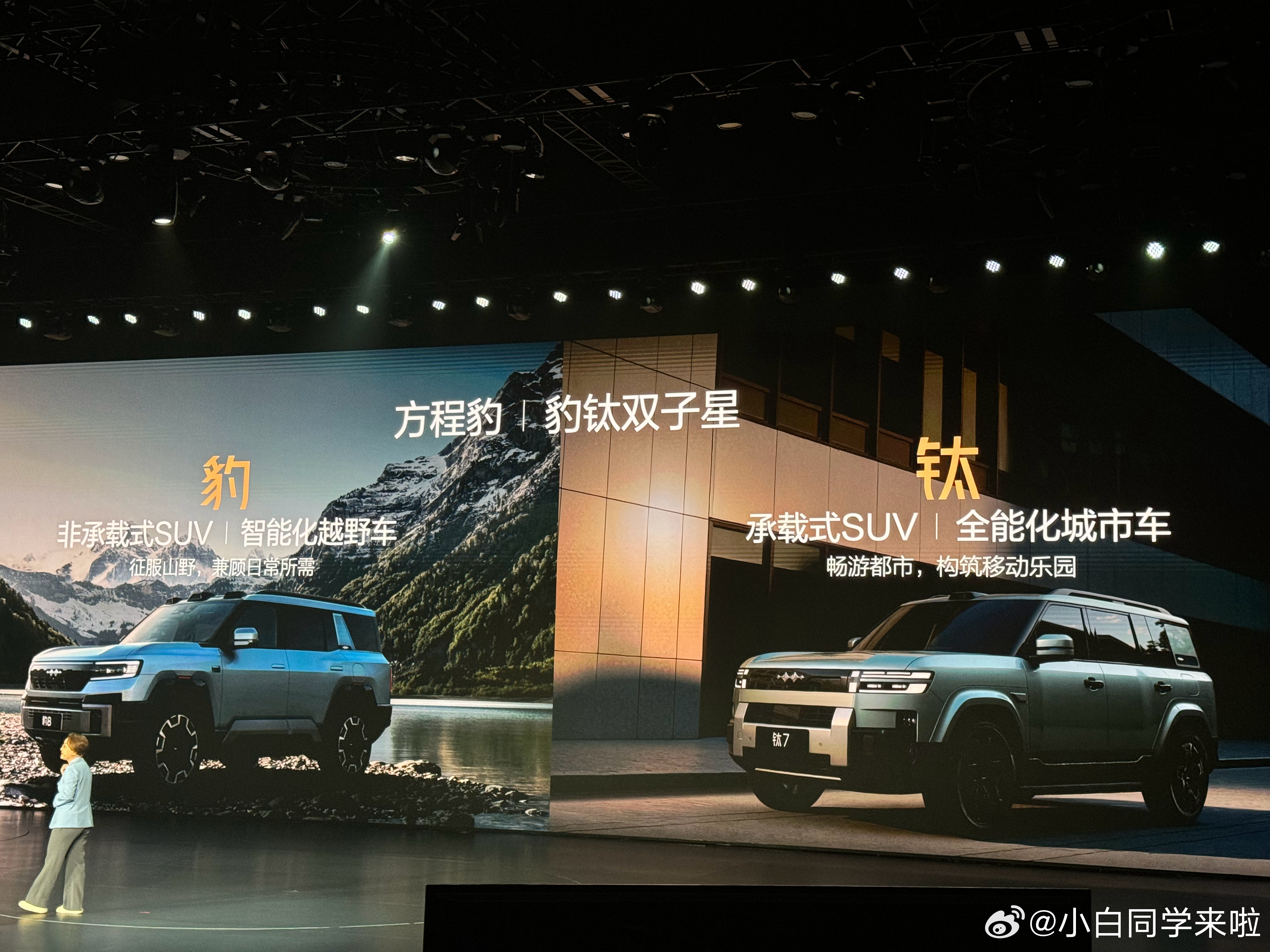 方程豹产品矩阵分为豹系列和钛系列，豹系利是非承载式 SUV；钛系列是承载式 SU