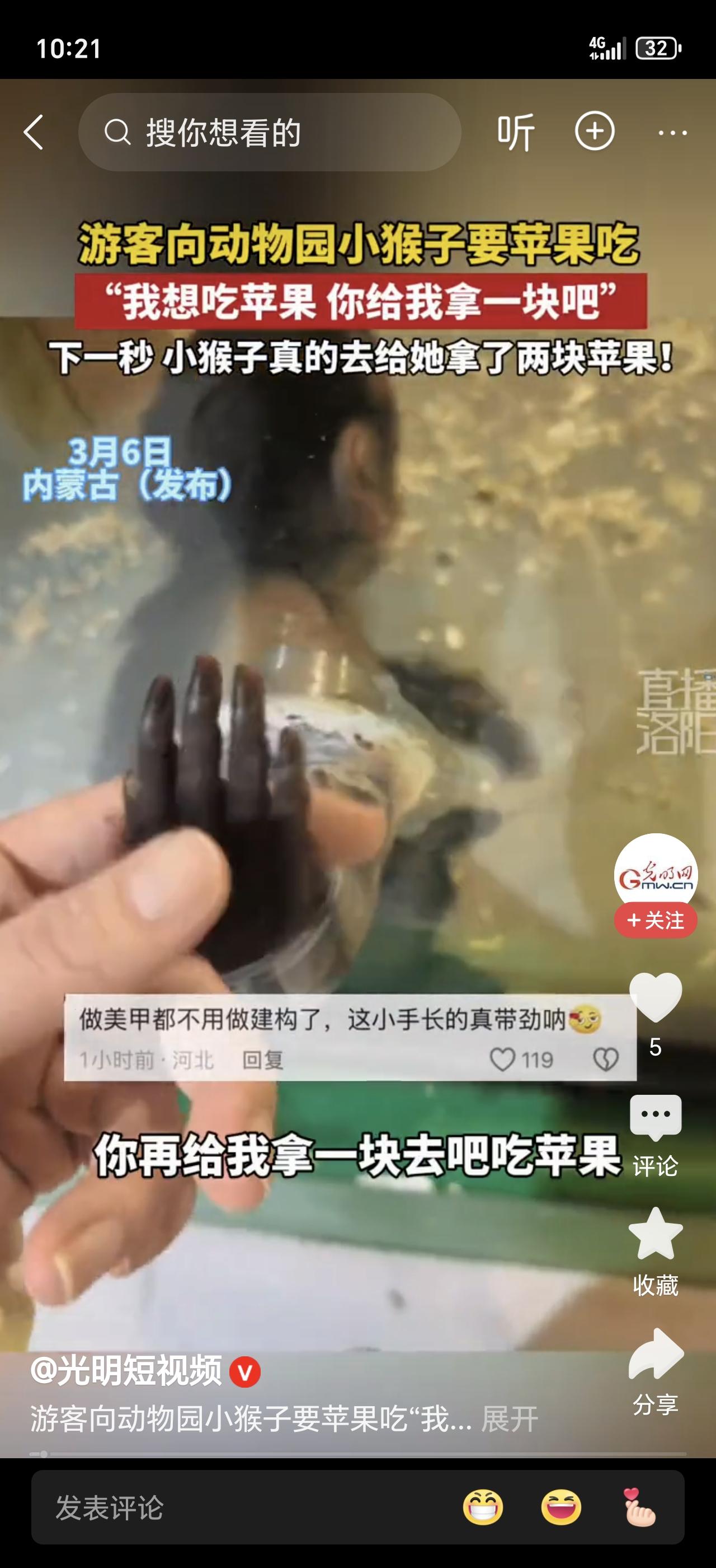 江苏一男子去动物园，刚走到猴山边上，还没来得及掏零食，一个红彤彤的东西直接砸到怀