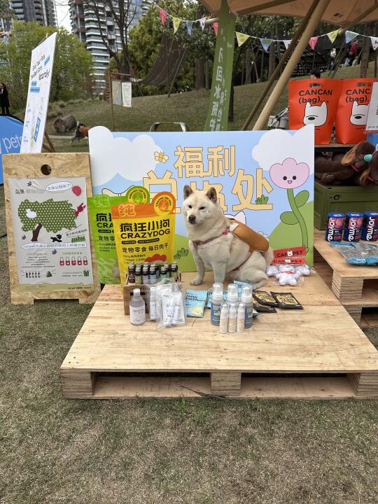 这居然是福利？