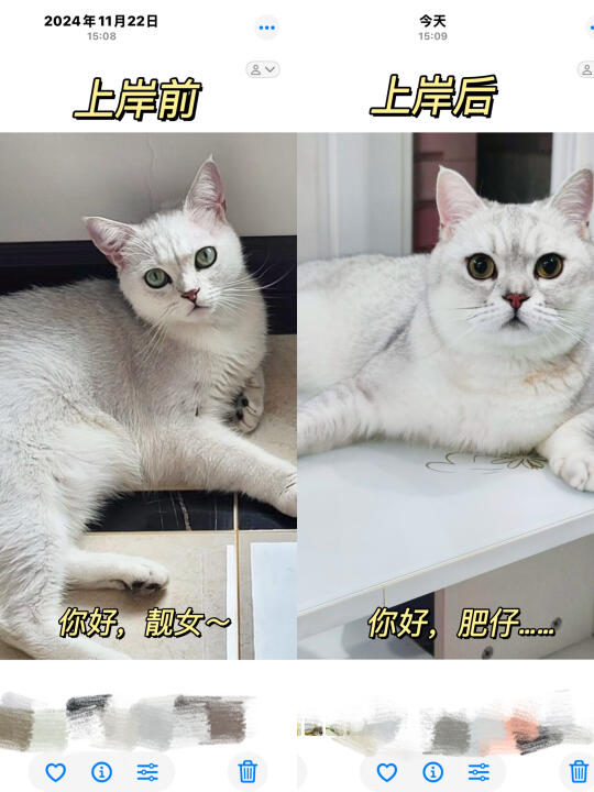 🔥 膨胀进行：瘦猫の逆袭这波