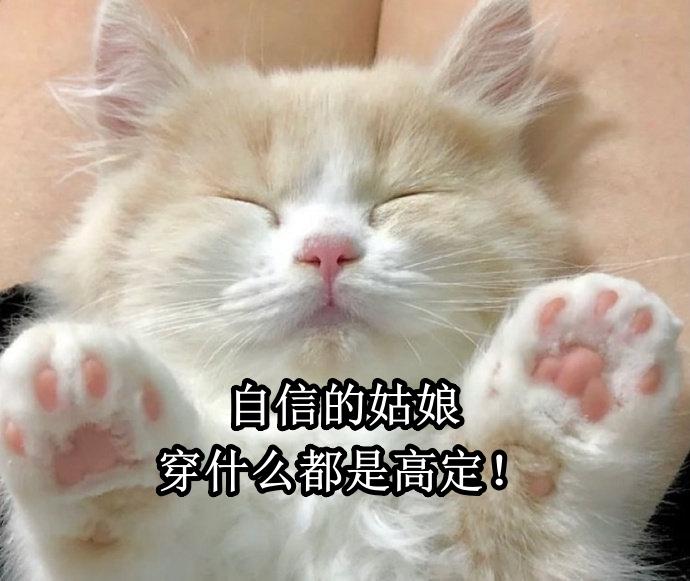 膨胀的不是体重，是生命的饱和度。

最近发现，我的身材正悄悄进行一场“文艺复兴”