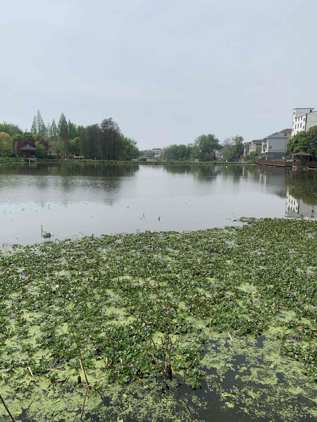 没有烦心事的生活，
才是开心快乐的生活！
我有一对子女。
儿女从小学到大学毕业，