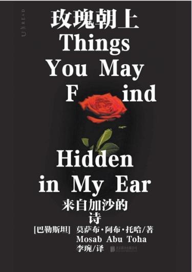 倾听加沙的心跳